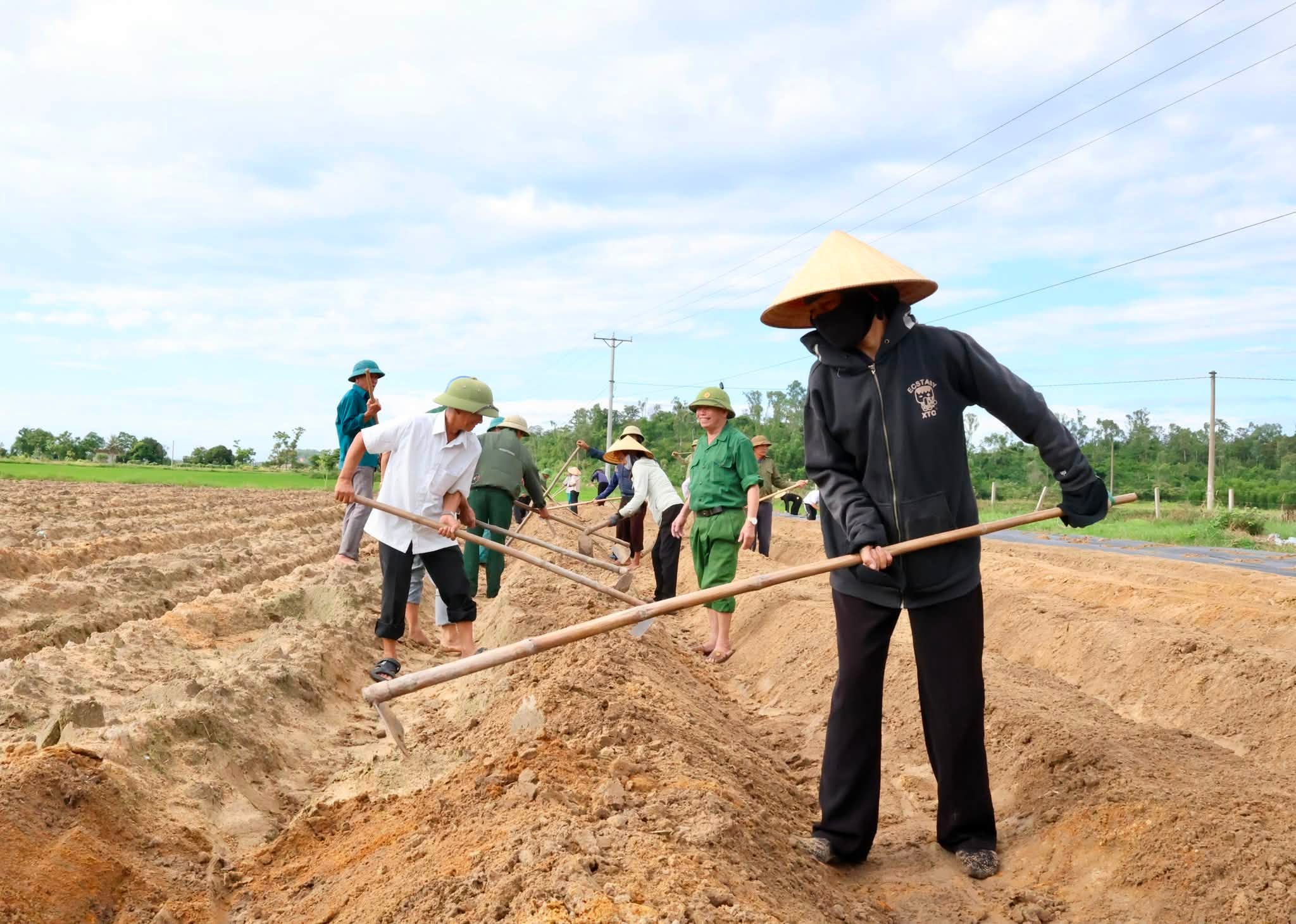 ĐƯA MÔ HÌNH SÂM BỐ CHÍNH VÀO SẢN XUẤT, MỞ HƯỚNG PHÁT TRIỂN KINH TẾ TẠI XÃ HỒNG LỘC