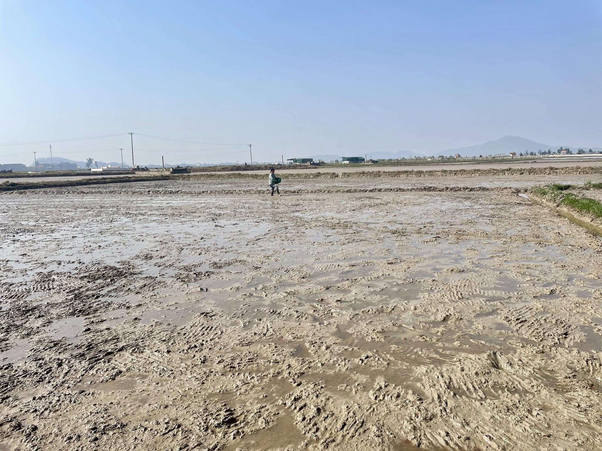 BÀ CON NÔNG DÂN XÃ HỒNG LỘC TẬP TRUNG XUỐNG ĐỒNG GIEO CẤY VỤ XUÂN NĂM 2026.