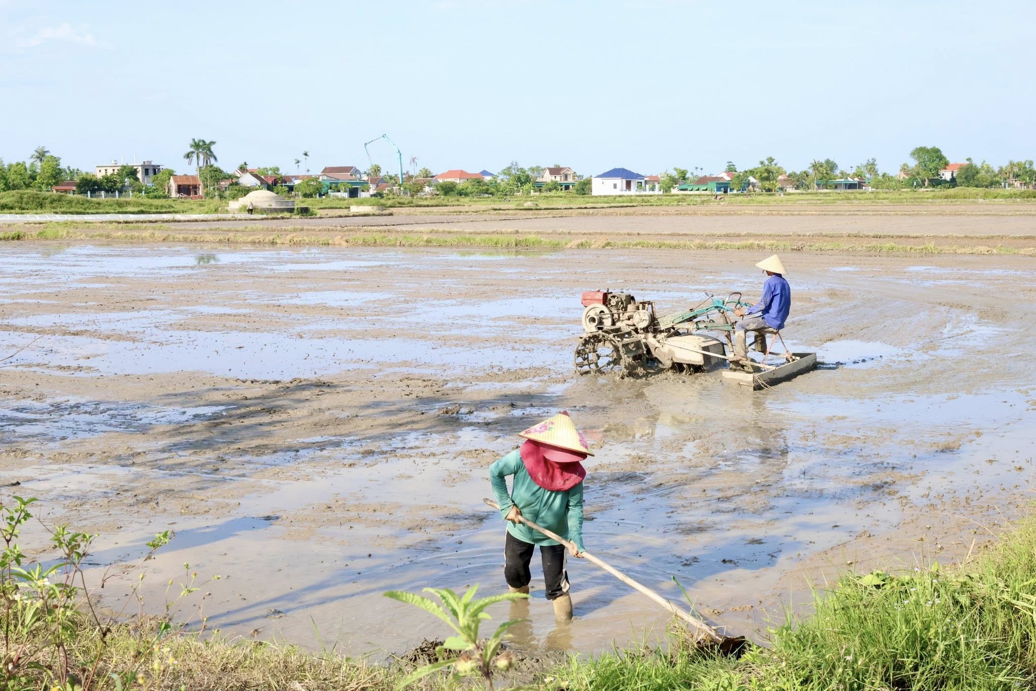 NÔNG DÂN XÃ HỒNG LỘC ĐẨY NHANH TIẾN ĐỘ SẢN XUẤT VỤ HÈ THU NĂM 2026