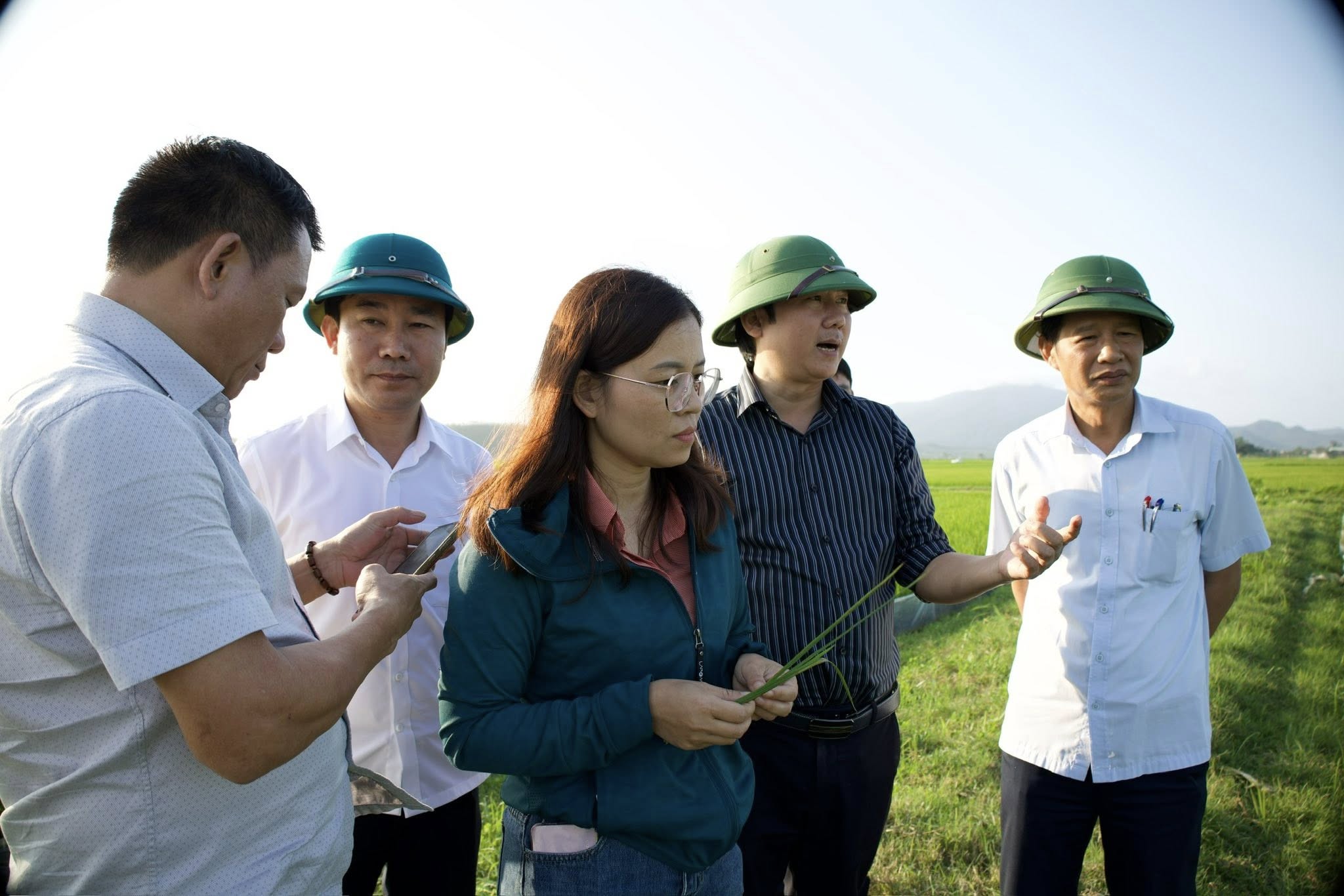 LÃNH ĐẠO XÃ HỒNG LỘC KIỂM TRA, CHỈ ĐẠO CHĂM SÓC LÚA VỤ XUÂN NĂM 2026