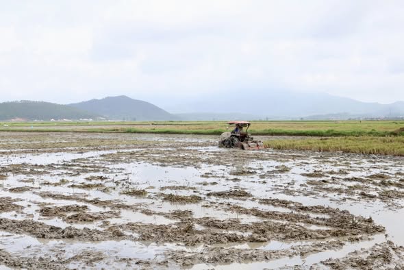 NÔNG DÂN XÃ HỒNG LỘC LÀM ĐẤT CHUẨN BỊ SẢN XUẤT VỤ HÈ THU.