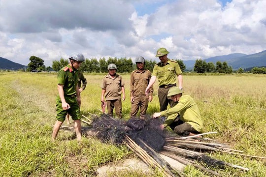 Tháo dỡ và tiêu hủy hơn 2000 mét lưới và 300 cọc tre dùng để bẩy bắt chim hoang dã